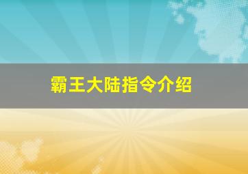 霸王大陆指令介绍