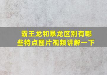 霸王龙和暴龙区别有哪些特点图片视频讲解一下