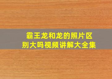 霸王龙和龙的照片区别大吗视频讲解大全集