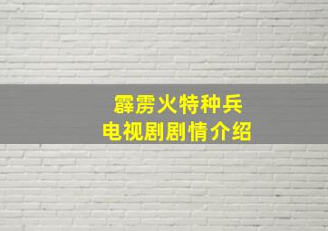 霹雳火特种兵电视剧剧情介绍