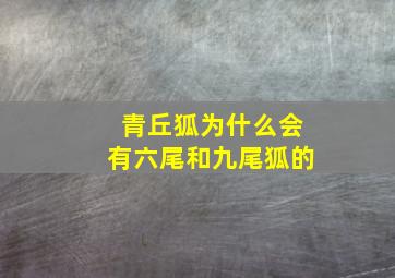 青丘狐为什么会有六尾和九尾狐的