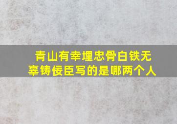 青山有幸埋忠骨白铁无辜铸佞臣写的是哪两个人