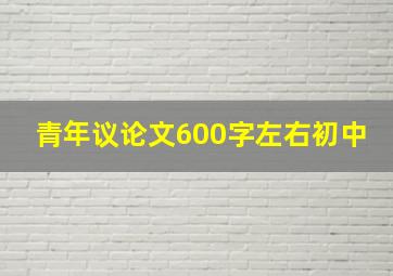 青年议论文600字左右初中