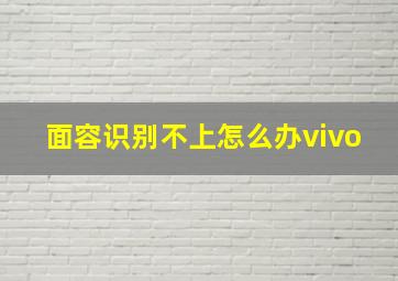 面容识别不上怎么办vivo