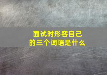 面试时形容自己的三个词语是什么