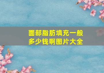 面部脂肪填充一般多少钱啊图片大全