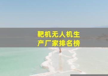 靶机无人机生产厂家排名榜