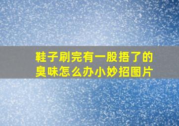 鞋子刷完有一股捂了的臭味怎么办小妙招图片