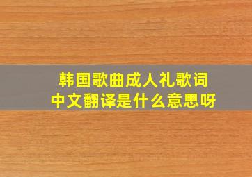 韩国歌曲成人礼歌词中文翻译是什么意思呀