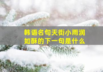 韩语名句天街小雨润如酥的下一句是什么