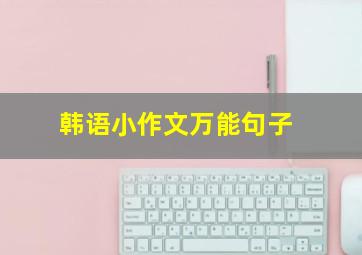 韩语小作文万能句子