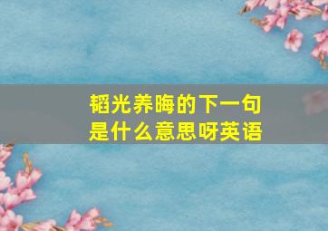 韬光养晦的下一句是什么意思呀英语