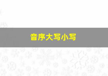 音序大写小写