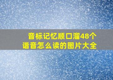 音标记忆顺口溜48个谐音怎么读的图片大全