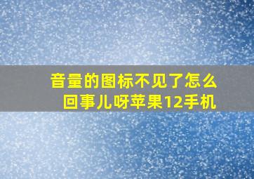 音量的图标不见了怎么回事儿呀苹果12手机