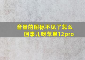 音量的图标不见了怎么回事儿呀苹果12pro