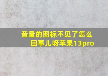 音量的图标不见了怎么回事儿呀苹果13pro