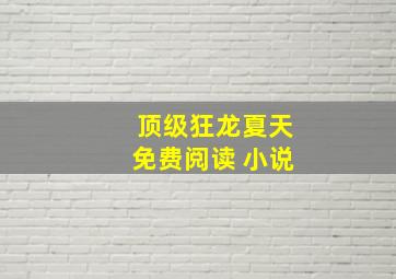 顶级狂龙夏天免费阅读 小说