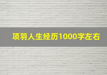 项羽人生经历1000字左右