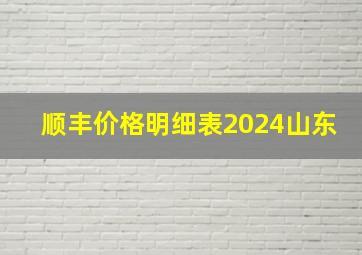 顺丰价格明细表2024山东