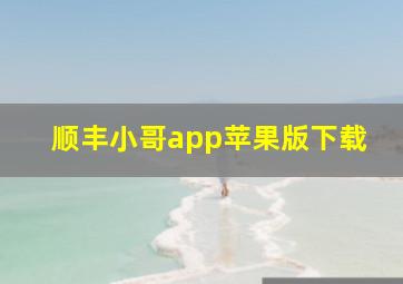 顺丰小哥app苹果版下载