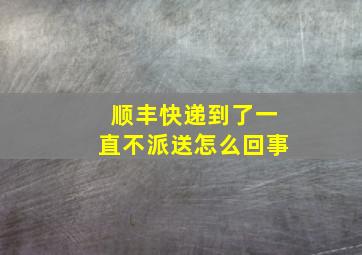 顺丰快递到了一直不派送怎么回事