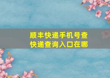 顺丰快递手机号查快递查询入口在哪