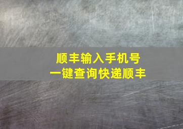 顺丰输入手机号一键查询快递顺丰