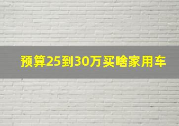 预算25到30万买啥家用车