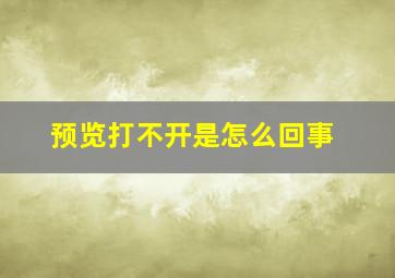 预览打不开是怎么回事