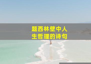 题西林壁中人生哲理的诗句