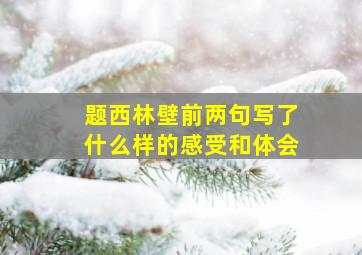 题西林壁前两句写了什么样的感受和体会