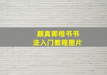 颜真卿楷书书法入门教程图片