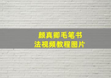 颜真卿毛笔书法视频教程图片