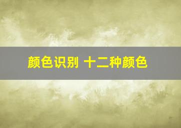 颜色识别 十二种颜色