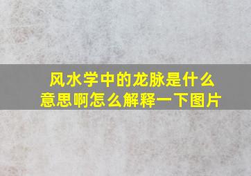 风水学中的龙脉是什么意思啊怎么解释一下图片