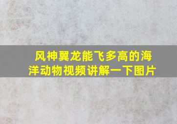 风神翼龙能飞多高的海洋动物视频讲解一下图片