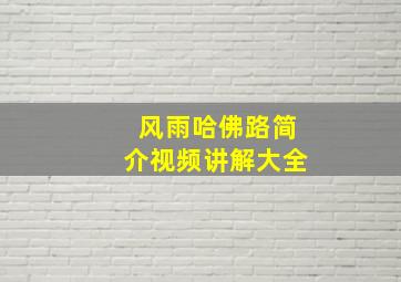 风雨哈佛路简介视频讲解大全