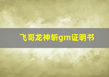 飞哥龙神斩gm证明书