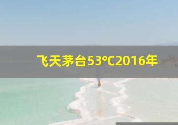 飞天茅台53℃2016年