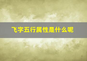 飞字五行属性是什么呢