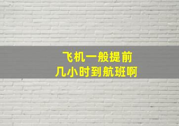 飞机一般提前几小时到航班啊