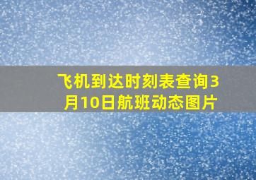 飞机到达时刻表查询3月10日航班动态图片