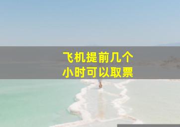 飞机提前几个小时可以取票