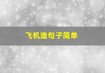 飞机造句子简单