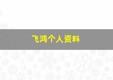 飞鸿个人资料