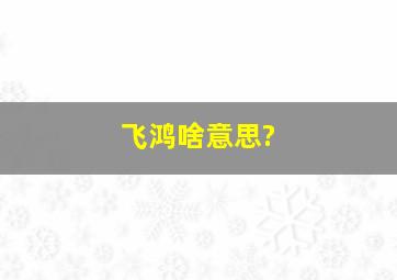 飞鸿啥意思?