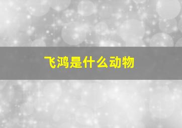 飞鸿是什么动物