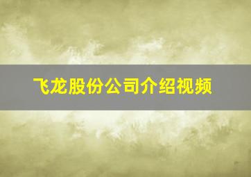 飞龙股份公司介绍视频