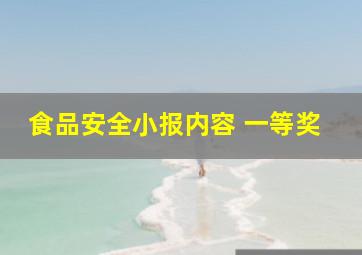 食品安全小报内容 一等奖